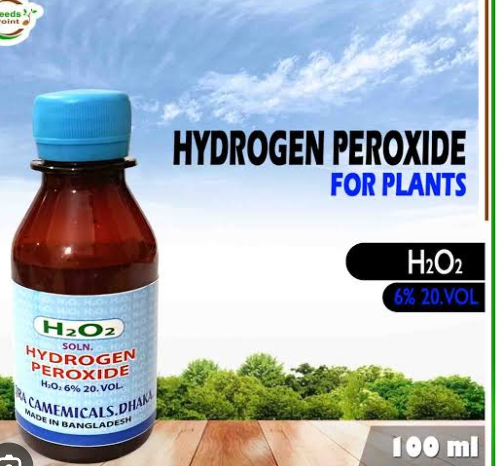 Li's Product Image